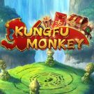 Kung Fu Monkey